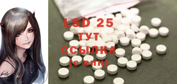 ПСИЛОЦИБИНОВЫЕ ГРИБЫ Абаза