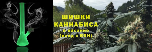 ПСИЛОЦИБИНОВЫЕ ГРИБЫ Абаза