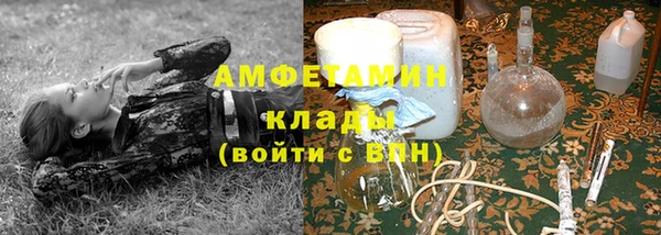 дурь Бердск