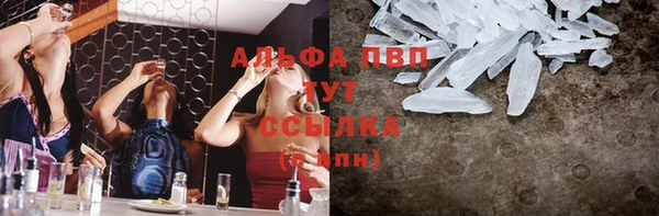 ПСИЛОЦИБИНОВЫЕ ГРИБЫ Абаза