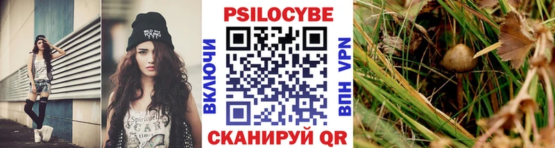 где купить наркоту  Шимановск  Галлюциногенные грибы Magic Shrooms 