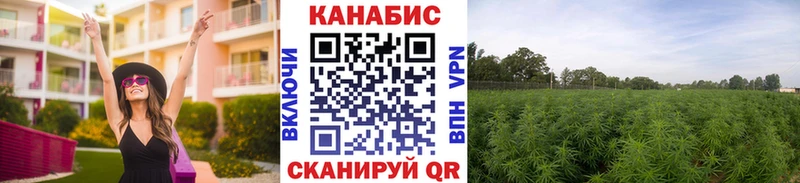 продажа наркотиков  Шимановск  Марихуана Amnesia 